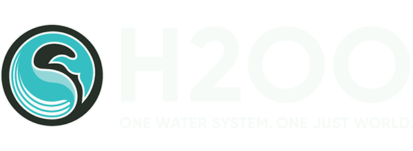 h2oo logo